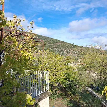 πλατανα αστρους αρκαδίας χωριατικο σπίτι για φυση και ηρεμία Сasa de vacaciones *
