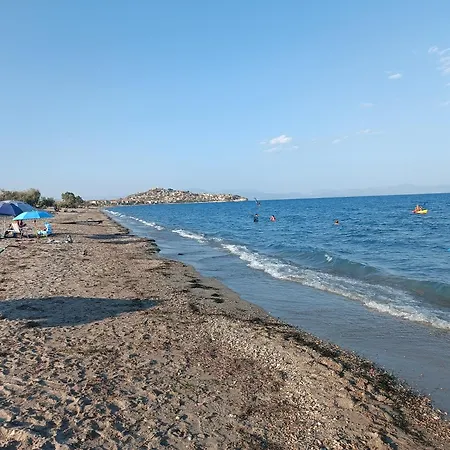 πλατανα αστρους αρκαδίας χωριατικο σπίτι για φυση και ηρεμία Сasa de vacaciones Rounaiika